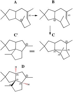 Conventions in molecule drawing
