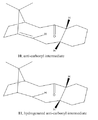 Thumbnail for version as of 18:47, 23 February 2012