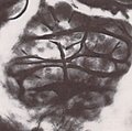 Thumbnail for version as of 15:40, 27 November 2006