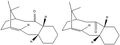 Thumbnail for version as of 20:15, 21 January 2011