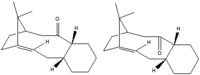 It07:Cyclopentasiloxane