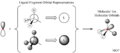 Thumbnail for version as of 15:25, 22 May 2019