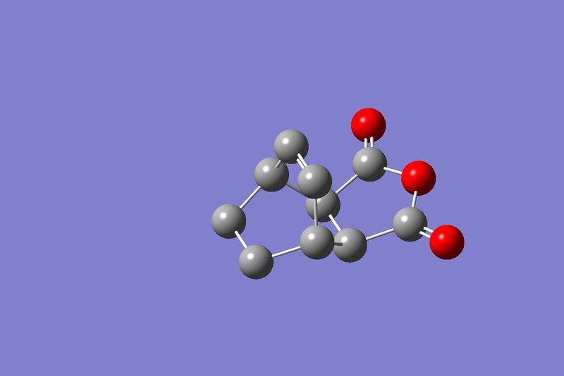 File:Endo IRC last step.jpg
