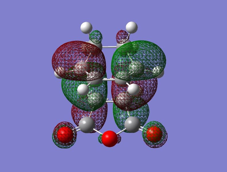 File:App2fig11 homoexo.jpg