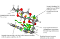 Thumbnail for version as of 16:13, 2 December 2013