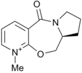 Thumbnail for version as of 16:12, 22 February 2011