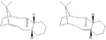 Thumbnail for version as of 13:37, 23 January 2012