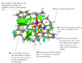 Thumbnail for version as of 17:04, 19 March 2014