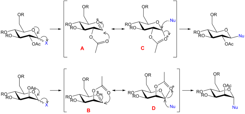 File:Mod1 Glycosidation Reaction.png