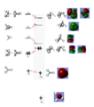 Thumbnail for version as of 13:11, 22 November 2012