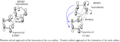 Thumbnail for version as of 08:22, 1 March 2012