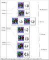 Thumbnail for version as of 01:13, 17 October 2013