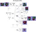 Thumbnail for version as of 19:40, 25 February 2014