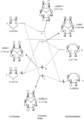 Thumbnail for version as of 19:26, 15 December 2017