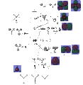Thumbnail for version as of 15:59, 5 December 2011