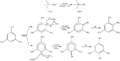 Thumbnail for version as of 00:15, 4 March 2010
