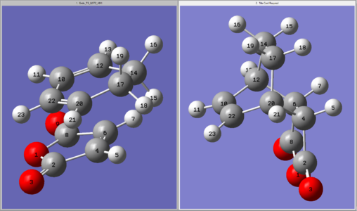 Input geometries for the TS(QST2) optimisation for the endo product
