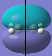 HOMO B