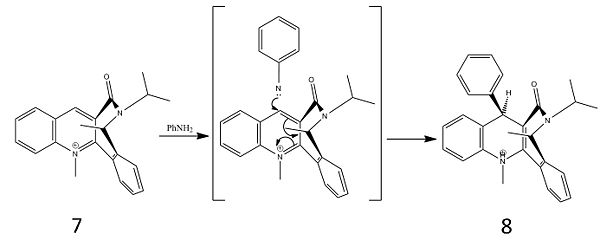 Stereochemistry of Molecules 7 and 8