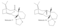Thumbnail for version as of 19:51, 12 November 2013