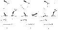 Thumbnail for version as of 20:42, 3 March 2010