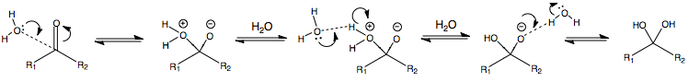 Mechanism for the addition of water at pH7