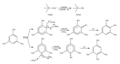 Thumbnail for version as of 13:36, 5 March 2010