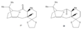 Thumbnail for version as of 12:54, 3 December 2013