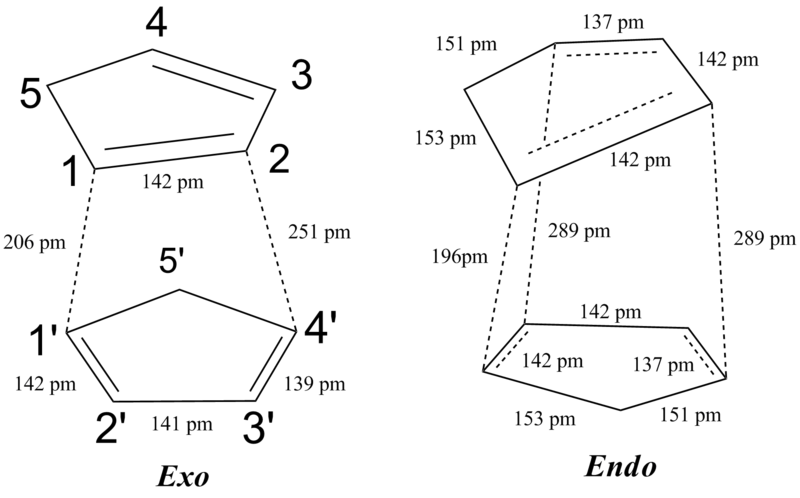 File:Endo exo ts cp.png