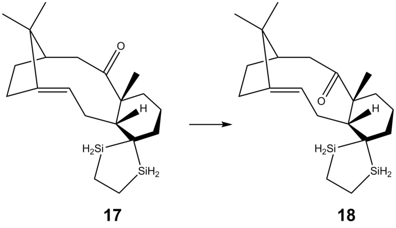 File:NFoverview 3rd.png