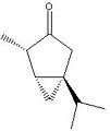 Thumbnail for version as of 10:07, 3 December 2007