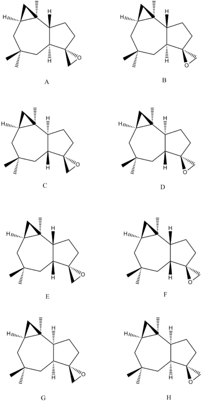 Mechanism of Diels-Alder cycloaddition