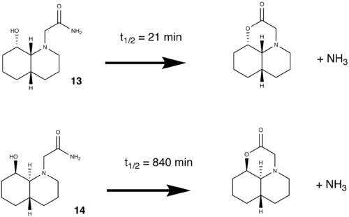 Peptide hydrolysis