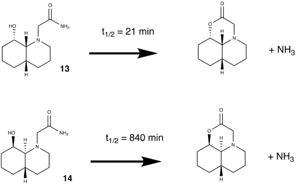 "Reaction Scheme for amide cleavage"