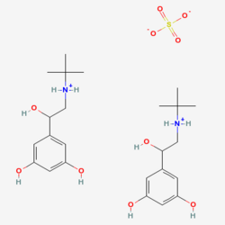 Terbutaline Sulphate