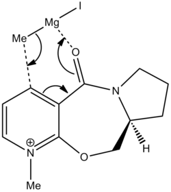 The mechanism for the Grignard attack on Proline