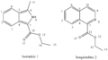 Thumbnail for version as of 20:27, 26 January 2011