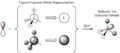 Thumbnail for version as of 14:21, 23 May 2019