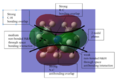 Thumbnail for version as of 03:10, 19 December 2014