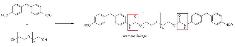 File:Prepolymer.jpg