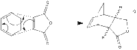 reaction between malic anhydride + 1,3 cyclohexadiene