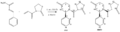 Thumbnail for version as of 16:53, 29 January 2010