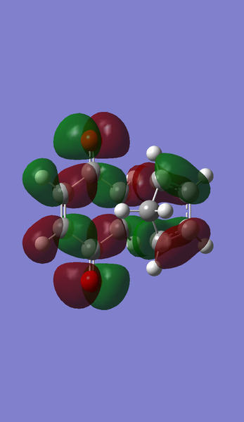 File:Exo homo again.png