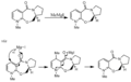 Thumbnail for version as of 23:12, 22 November 2010