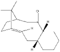 Thumbnail for version as of 18:52, 24 November 2009