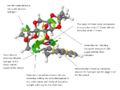 Thumbnail for version as of 17:56, 18 March 2014