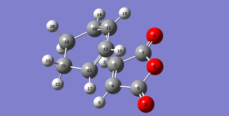 File:JOH endo labelled.png