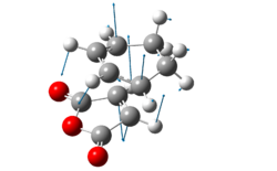 Vibration Endo TS AM1