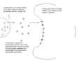 Thumbnail for version as of 13:24, 7 December 2007
