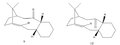 Thumbnail for version as of 00:58, 26 November 2010